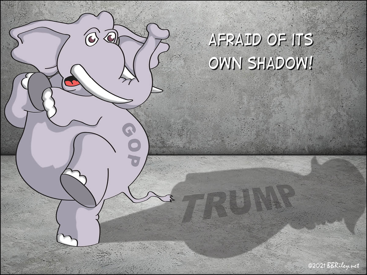 Afraid of Its Own&nbsp;Shadow